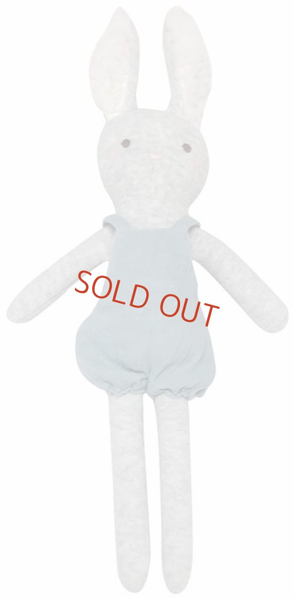 画像2: 【着せ替えドール】ミディアム・タオルバニー (2)