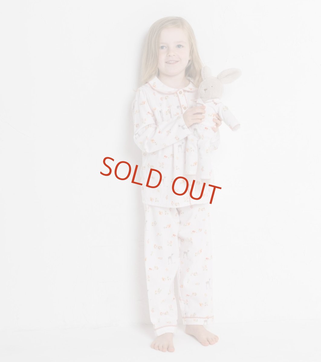 画像4: 【着せ替えドール】グットナイトバニー (4)