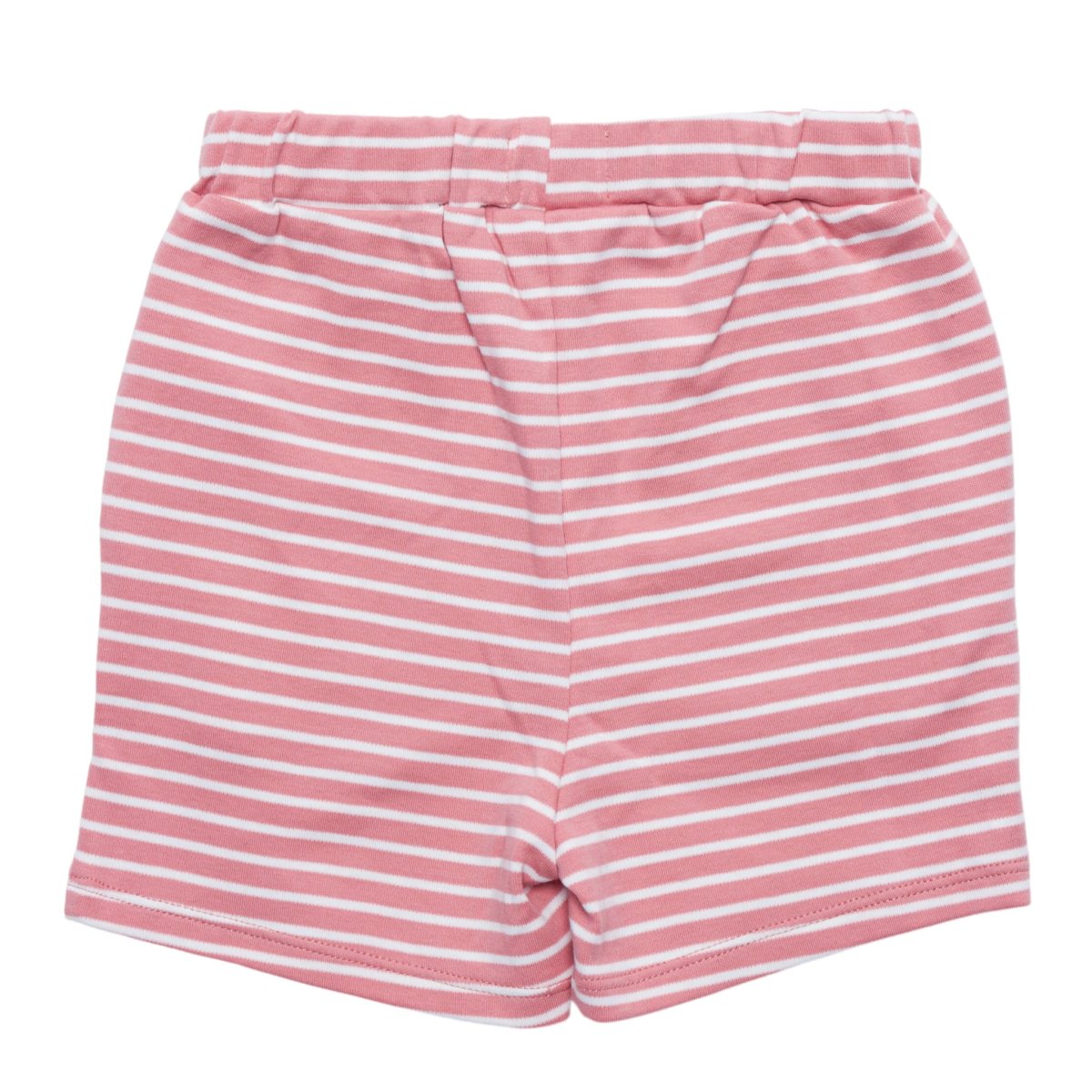 画像8: 恐竜プリント・Tシャツセット_3〜4歳用(身長95-100cm) (8)