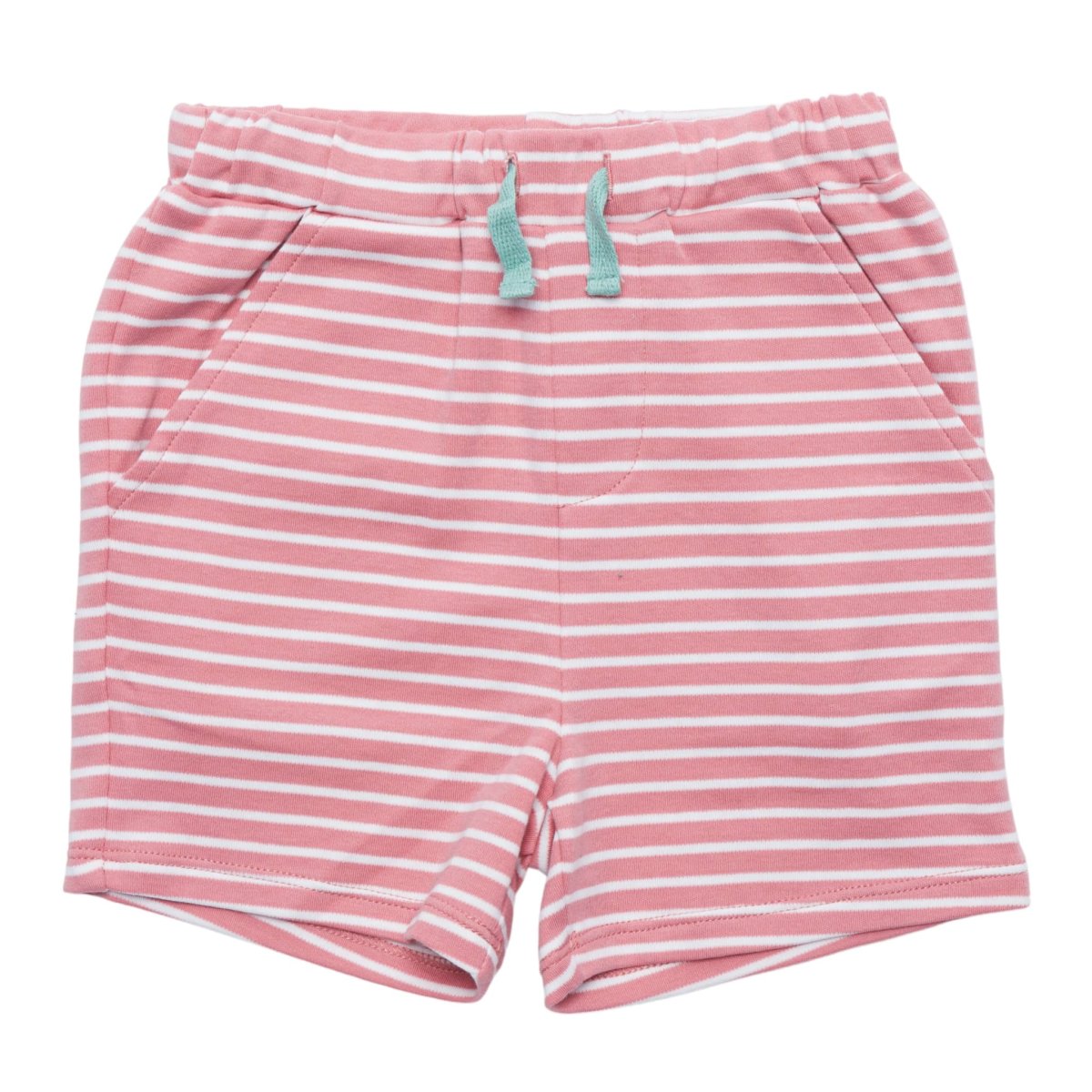 画像6: 恐竜プリント・Tシャツセット_3〜4歳用(身長95-100cm) (6)