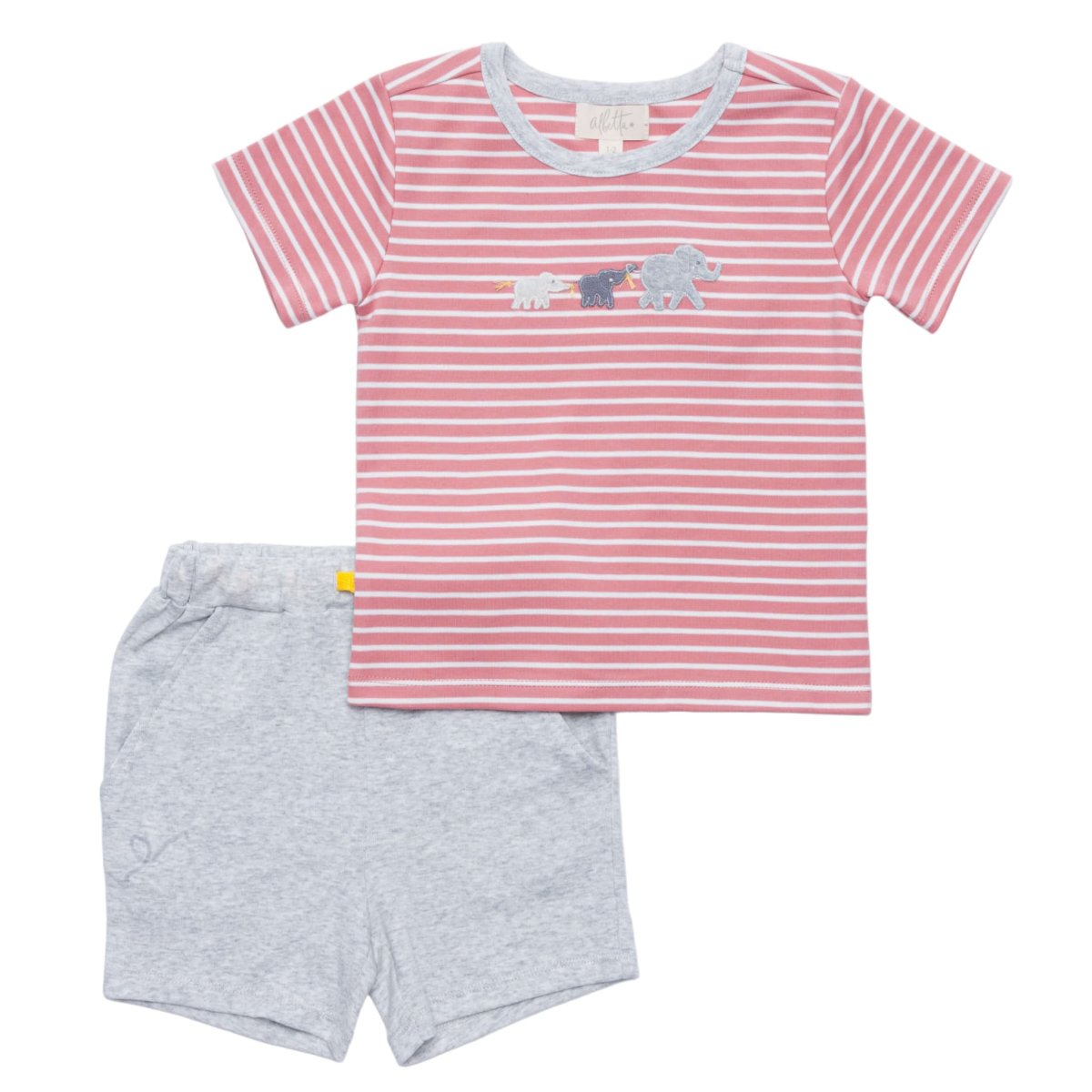 画像1: アップリケ・Tシャツセット_2〜3歳用(身長 90-95cm) (1)