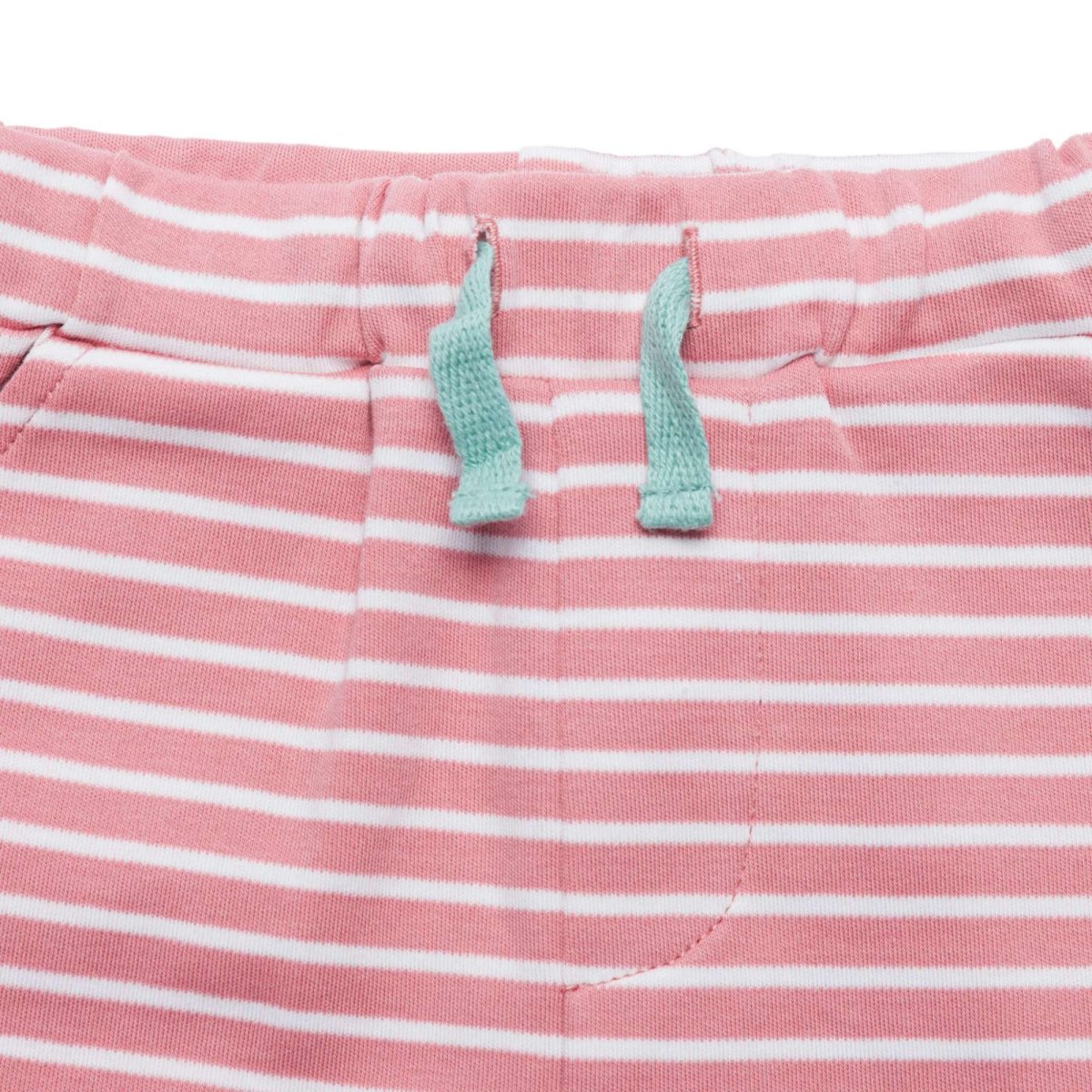 画像7: 恐竜プリント・Tシャツセット_3〜4歳用(身長95-100cm) (7)