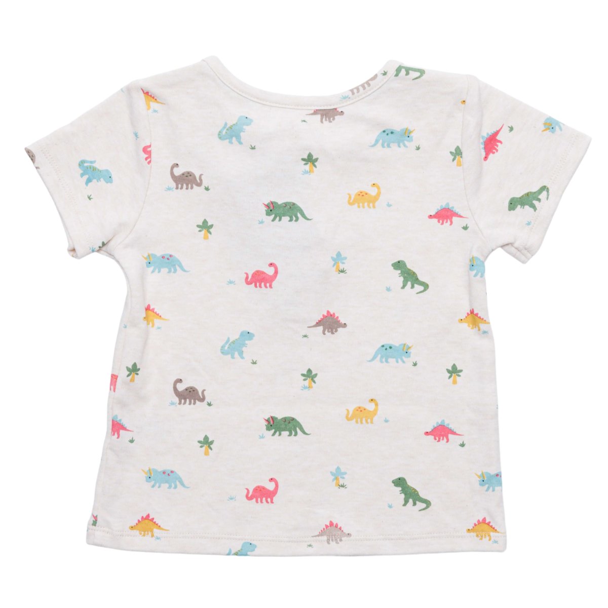 画像4: 恐竜プリント・Tシャツセット_3〜4歳用(身長95-100cm) (4)