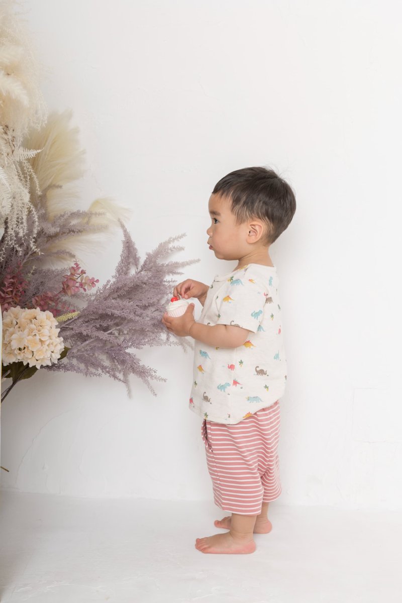 画像10: 恐竜プリント・Tシャツセット_3〜4歳用(身長95-100cm) (10)