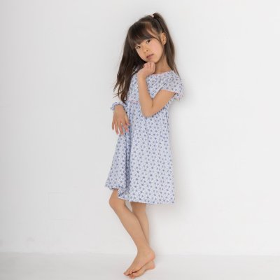 画像1: ブルーフラワー刺しゅう・ドレス_1〜6歳用