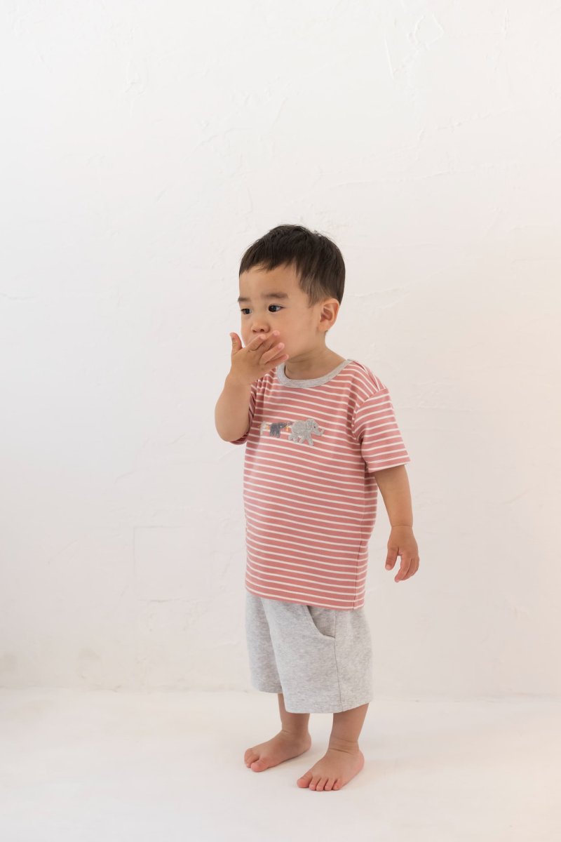 画像10: アップリケ・Tシャツセット_1〜2歳用(身長 85-90cm) (10)