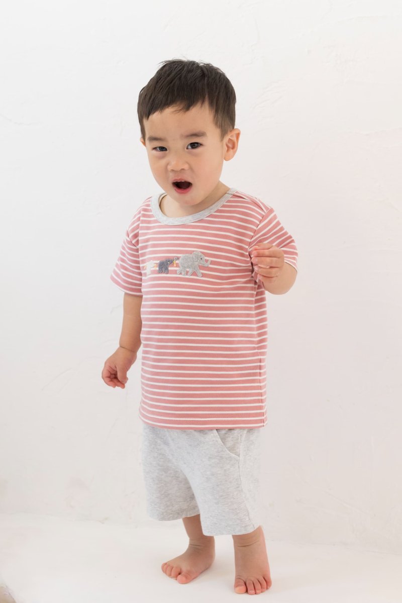 画像13: アップリケ・Tシャツセット_1〜2歳用(身長 85-90cm) (13)