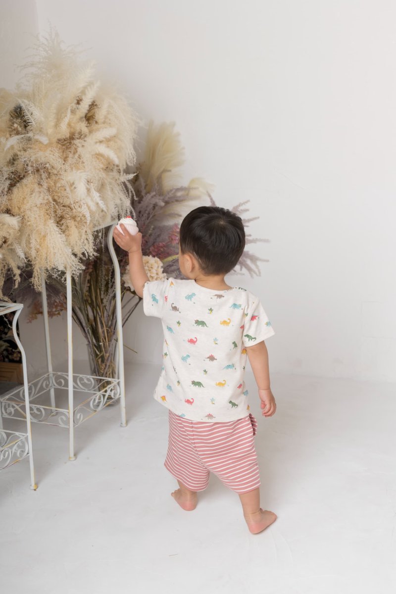 画像11: 恐竜プリント・Tシャツセット_3〜4歳用(身長95-100cm) (11)