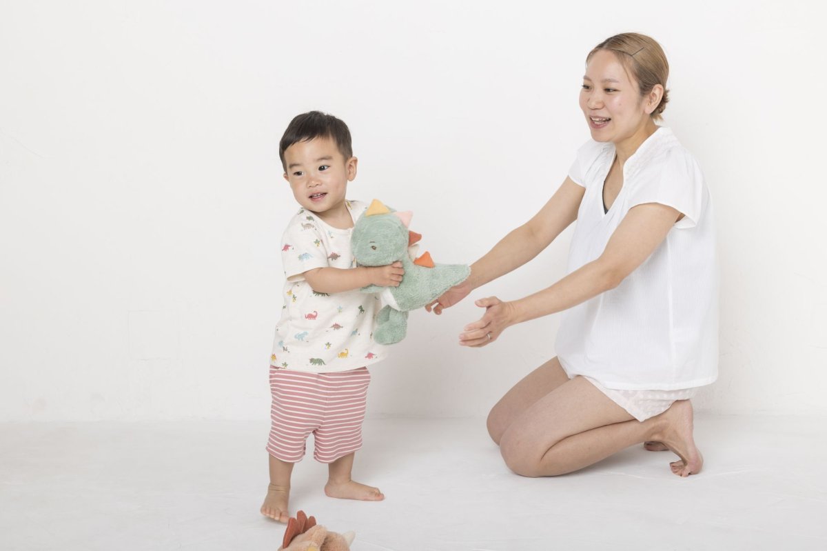 画像6: もふもふティラノサウルス (6)