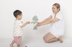 画像5: もふもふティラノサウルス (5)