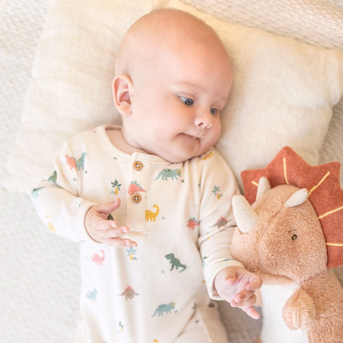 画像7: もふもふトリケラトップス (7)