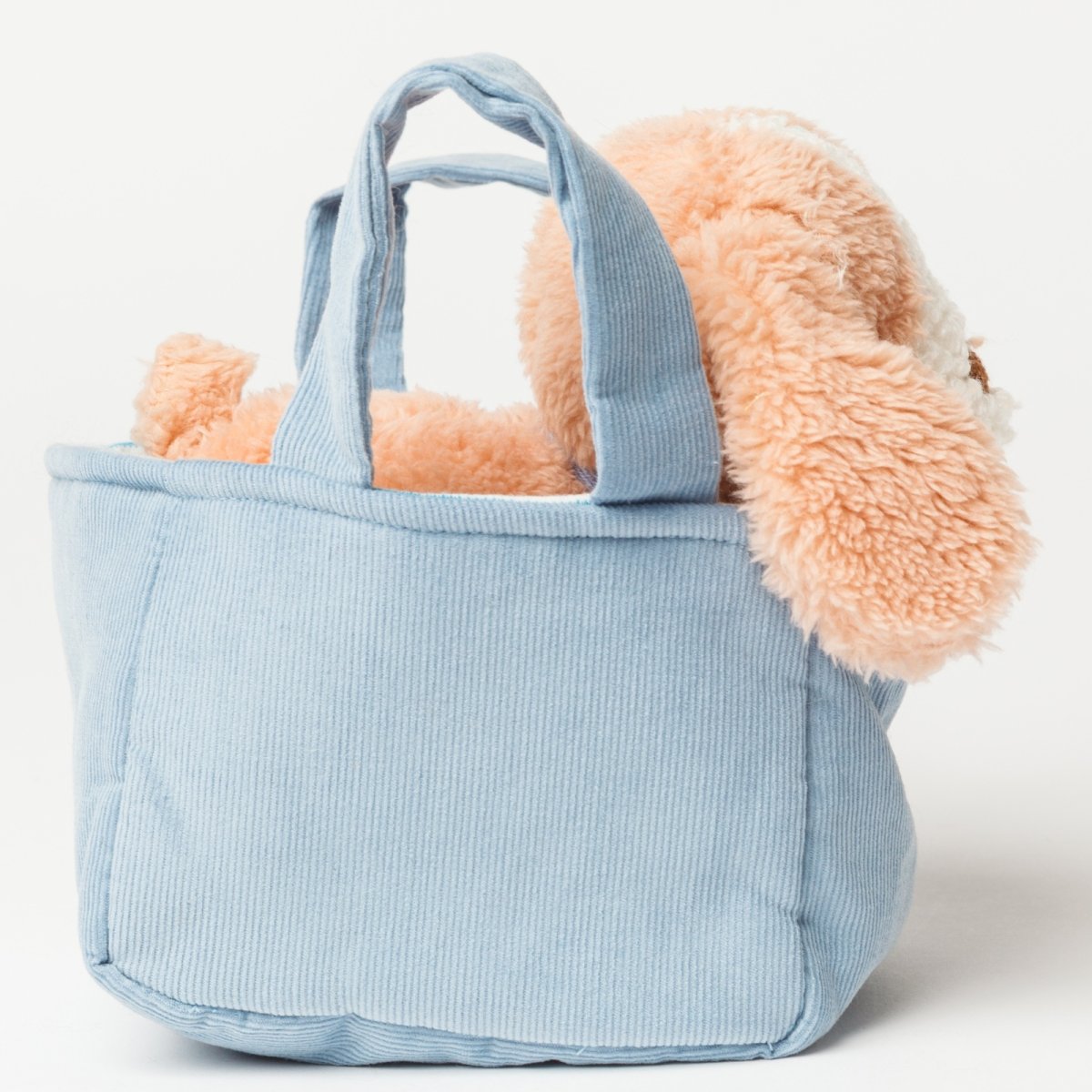 画像4: バスケット入り ブラウン・ビーグル子犬 (4)