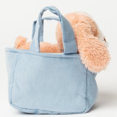 画像4: バスケット入り ブラウン・ビーグル子犬 (4)