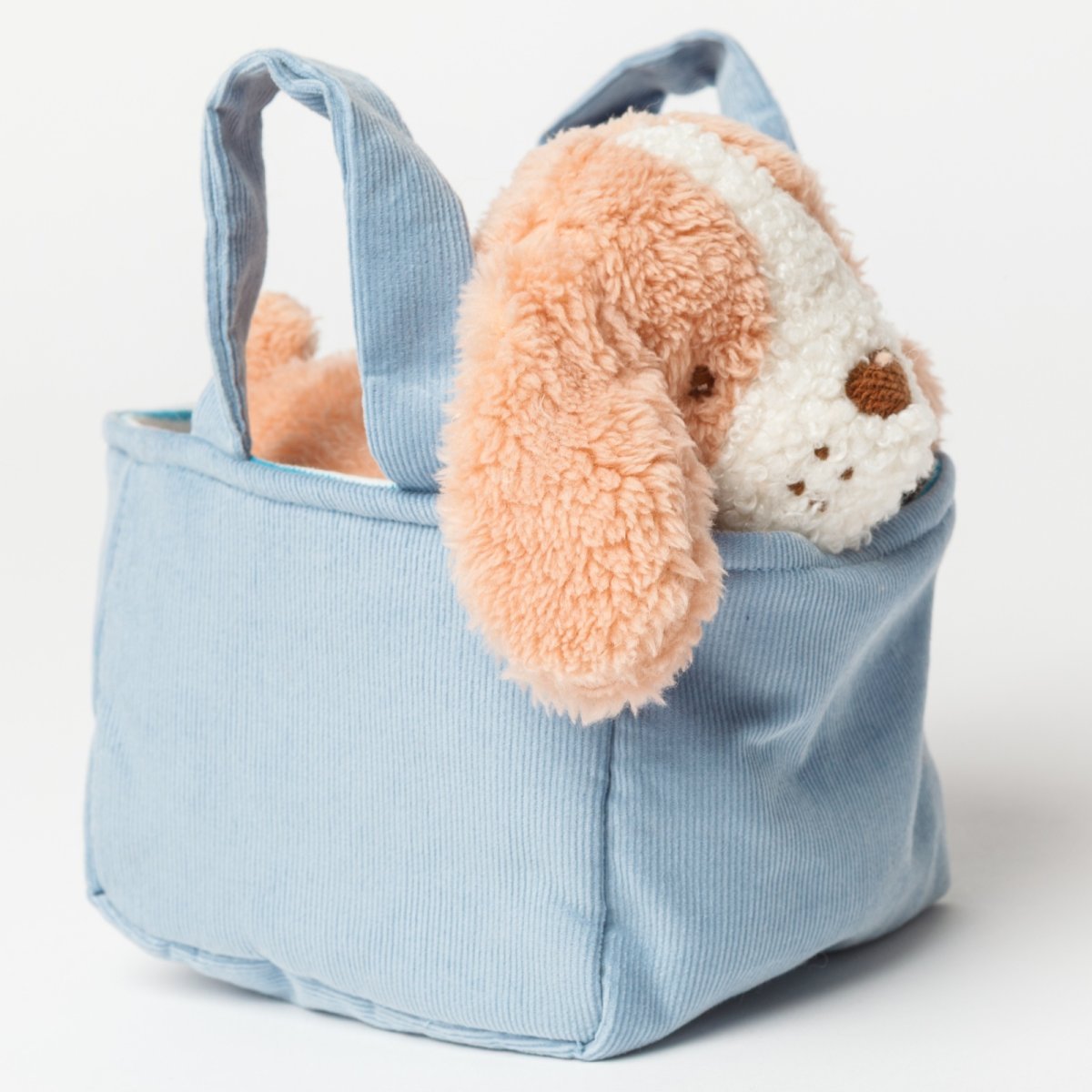 画像5: バスケット入り ブラウン・ビーグル子犬 (5)