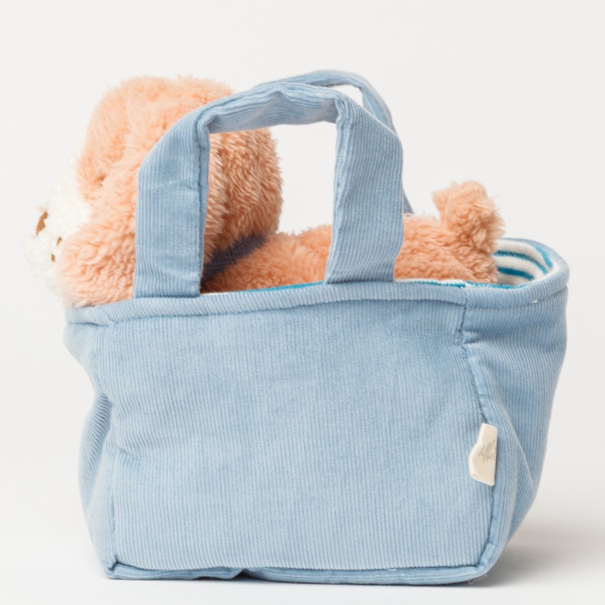 画像2: バスケット入り ブラウン・ビーグル子犬 (2)