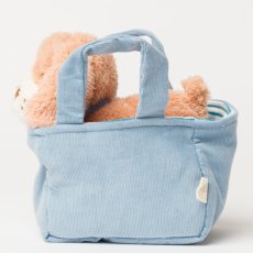 画像2: バスケット入り ブラウン・ビーグル子犬 (2)