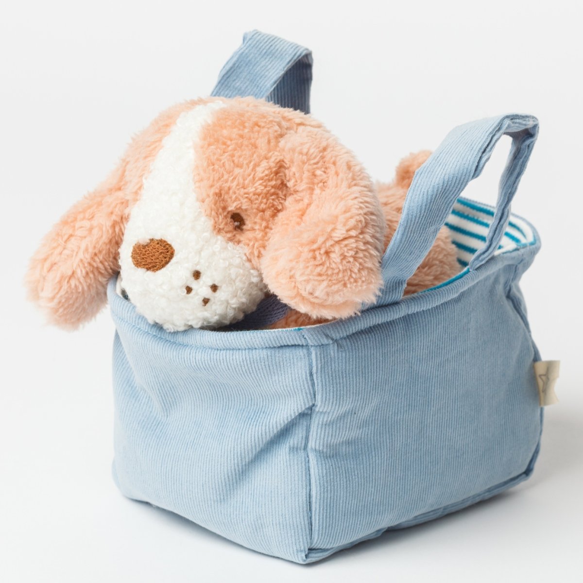 画像1: バスケット入り ブラウン・ビーグル子犬 (1)