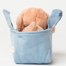 画像3: バスケット入り ブラウン・ビーグル子犬 (3)