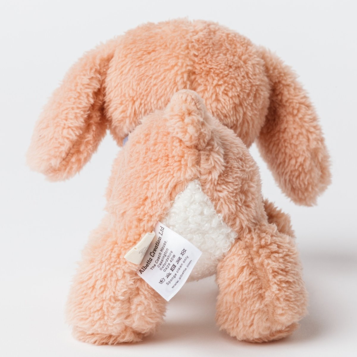 画像9: バスケット入り ブラウン・ビーグル子犬 (9)