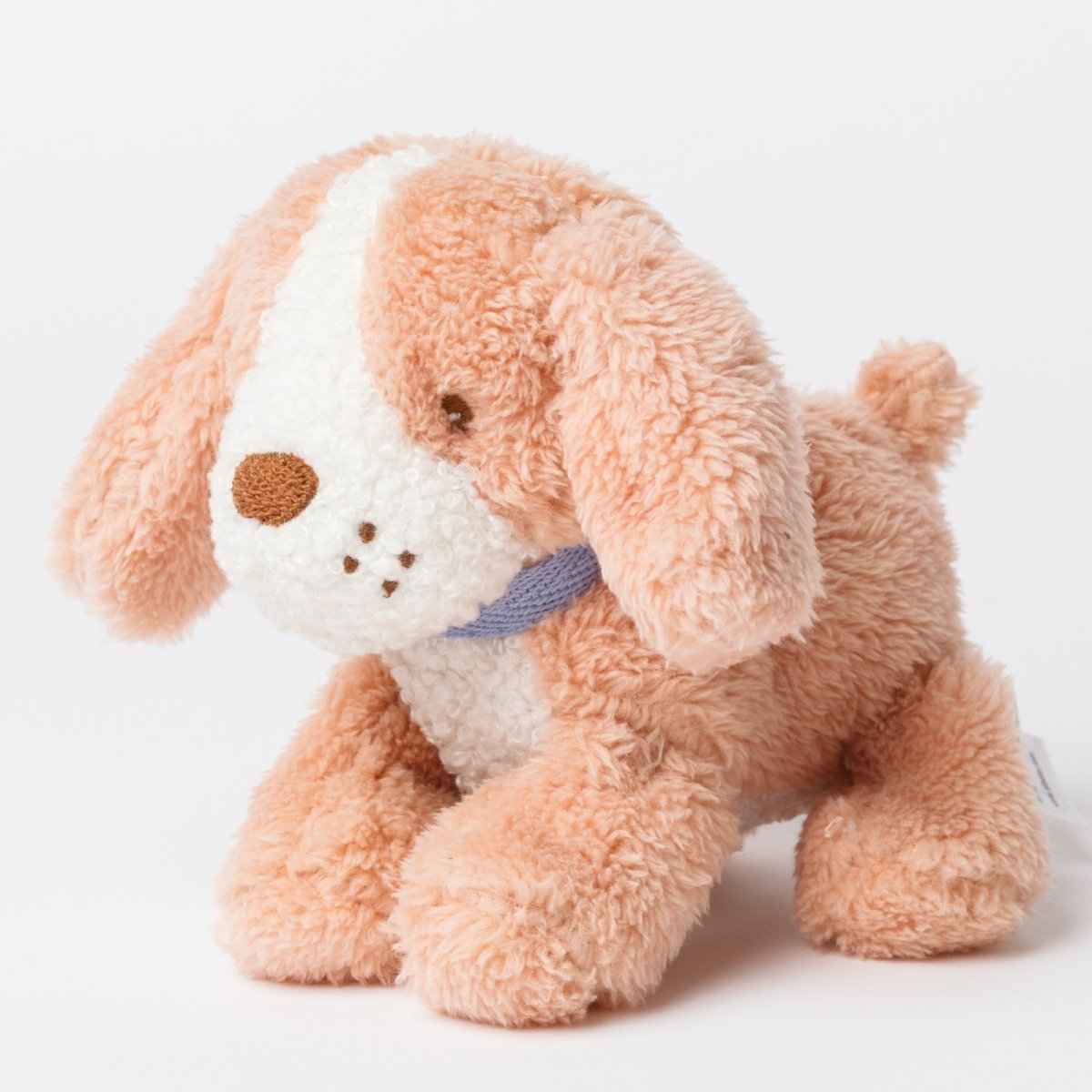 画像6: バスケット入り ブラウン・ビーグル子犬 (6)