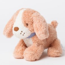 画像6: バスケット入り ブラウン・ビーグル子犬 (6)