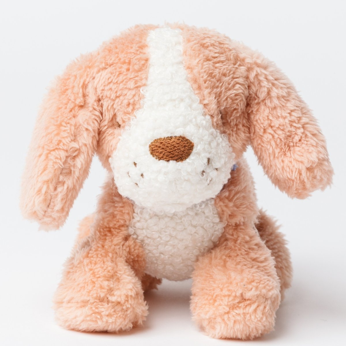 画像8: バスケット入り ブラウン・ビーグル子犬 (8)