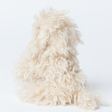 画像5: ベージュプードルベビー・ファーぬいぐるみ (5)